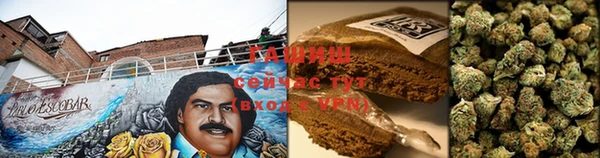 скорость Шали